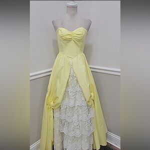 Princess Strapless Dress